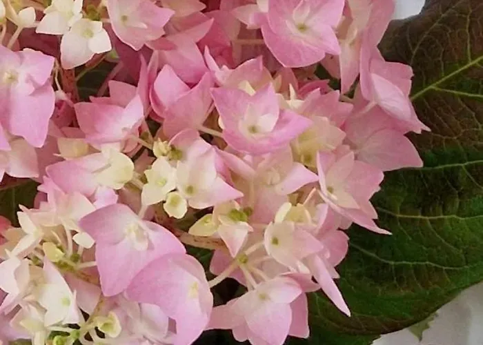 La Verriere 펜션 셰르부르 앙 코탱탕